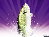 Nuevas im�genes de Fishing Master para Wii