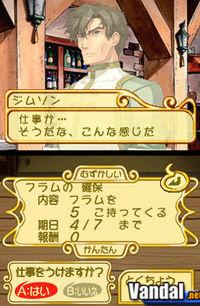 Imagen 2 de Atelier Annie para Nintendo DS