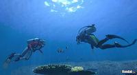 Nuevas im�genes de Forever Blue