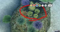 Imagen 26 de Endless Ocean para Wii
