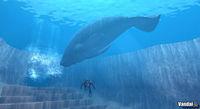 Imagen 23 de Endless Ocean para Wii