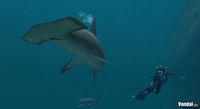 Imagen 22 de Endless Ocean para Wii