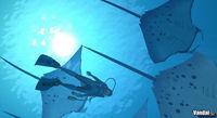 Imagen 21 de Endless Ocean para Wii