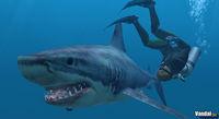 Imagen 31 de Endless Ocean para Wii