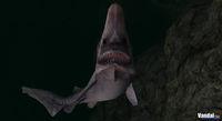 Imagen 29 de Endless Ocean para Wii