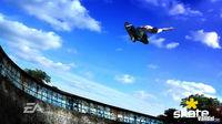 Nuevas im�genes de Skate