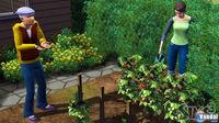 Primeras im�genes de Los Sims 3