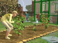 Los Sims 2 Estaciones ya tiene fecha de lanzamiento