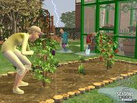 Nuevas im�genes de Los Sims 2 Estaciones