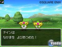 Nuevas im�genes de Dragon Quest IX