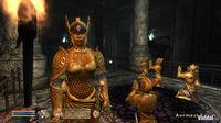 Pantalla The Elder Scrolls IV: Oblivion - Shivering Isles