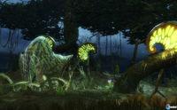 Nuevas im�genes y v�deo de Guild Wars 2