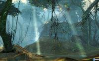 Nuevas im�genes y v�deo de Guild Wars 2