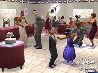 Imagen 2 de Los Sims 2: Celebration Stuff para Ordenador