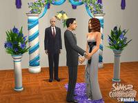 Imagen 1 de Los Sims 2: Celebration Stuff para Ordenador