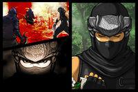 TGS: Nuevas im�genes de Ninja Gaiden Dragon Sword