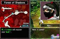Nuevas im�genes de Ninja Gaiden DS