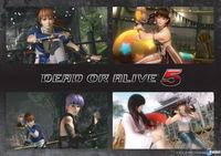 Hori anuncia un mando especial de Dead or Alive 5