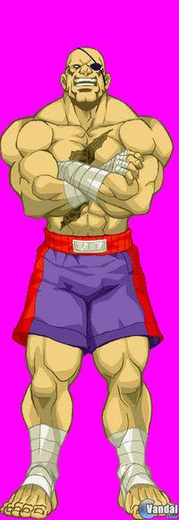 Nuevas im�genes de Super Street Fighter II Turbo HD Remix