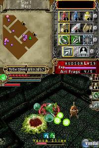 Imagen 3 de Dungeon Explorer: Warriors of the Ancient Arts para Nintendo DS