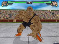 GC: Nuevas im�genes de Dragon Ball Z Budokai Tenkaichi 3