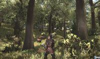 Nuevas im�genes de Arcania: Gothic 4