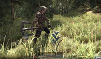 Nuevas im�genes de Arcania: Gothic 4