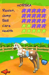 Imagen 2 de Horsez 2 para Nintendo DS