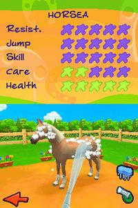 Imagen 1 de Horsez 2 para Nintendo DS
