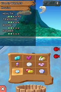 Imagen 7 de Animalz Marine Zoo para Nintendo DS