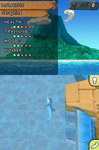 Imagen 6 de Animalz Marine Zoo para Nintendo DS