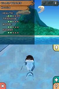 Imagen 4 de Animalz Marine Zoo para Nintendo DS