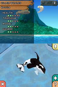 Imagen 3 de Animalz Marine Zoo para Nintendo DS