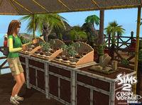 Imagen 9 de Los Sims 2 Bon Voyage para Ordenador