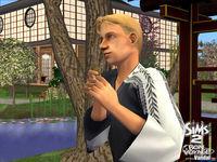 Imagen 11 de Los Sims 2 Bon Voyage para Ordenador