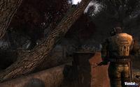 Nuevas im�genes de S.T.A.L.K.E.R.: Clear Sky