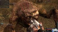 Nuevas im�genes de S.T.A.L.K.E.R. Clear Sky