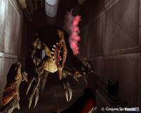 La espa�ola Tragnarion trabaja en The Scourge Project