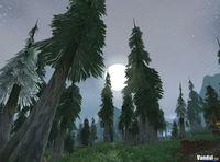 Nuevas im�genes de World of Warcraft: Wrath of the Lich King