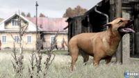 Imagen 75 de ArmA 2 para PlayStation 3