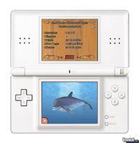 Imagen 4 de Dolphin Island para Nintendo DS