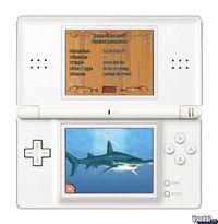 Imagen 1 de Dolphin Island para Nintendo DS