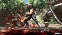 Nuevas im�genes de Ninja Gaiden 2