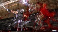 M�s im�genes de Ninja Gaiden 2