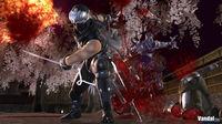 M�s im�genes de Ninja Gaiden 2