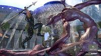Nuevas im�genes de Ninja Gaiden 2