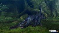 Primeras im�genes de Monster Hunter Portable 2nd G
