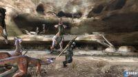 TGS: Nuevas im�genes de Monster Hunter 3