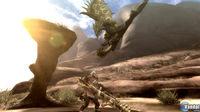 Nuevas im�genes de Monster Hunter 3 tri