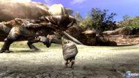 M�s im�genes de Monster Hunter 3 tri